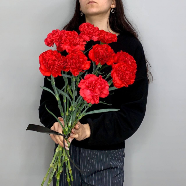 Красные гвоздики